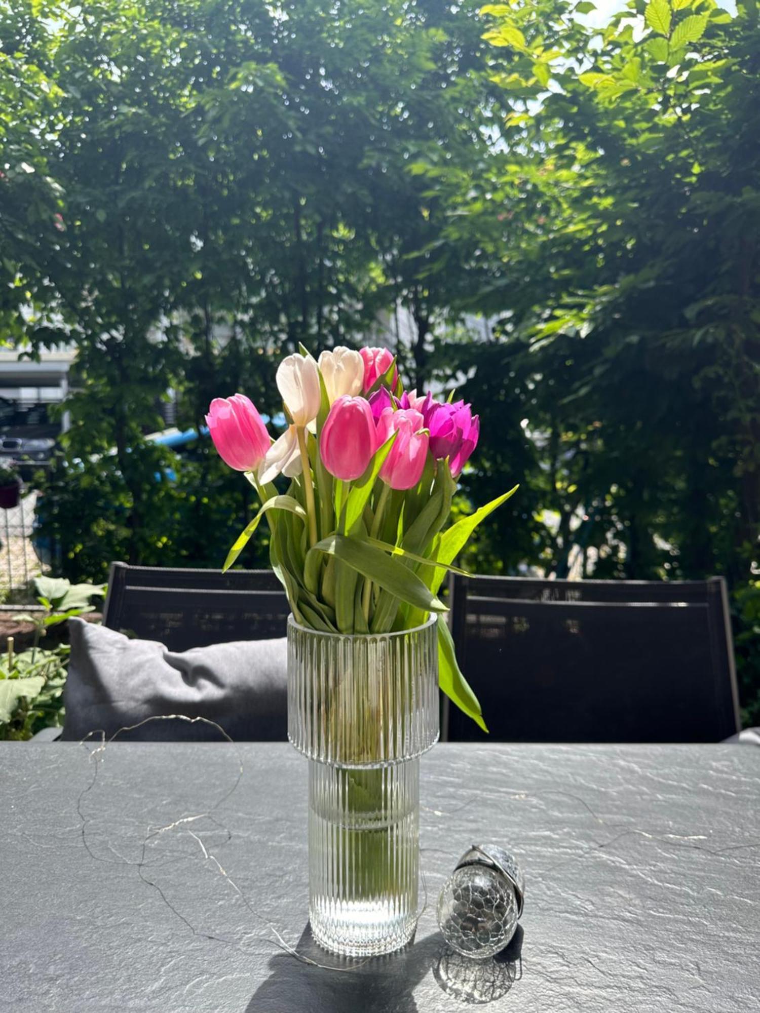 Luxus I Wohnkueche I Garten I Terrasse I Parkplatz Fuerth Ngoại thất bức ảnh